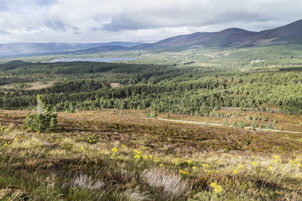 les sublimes highlands #visitscotland #ecosse #highlands
