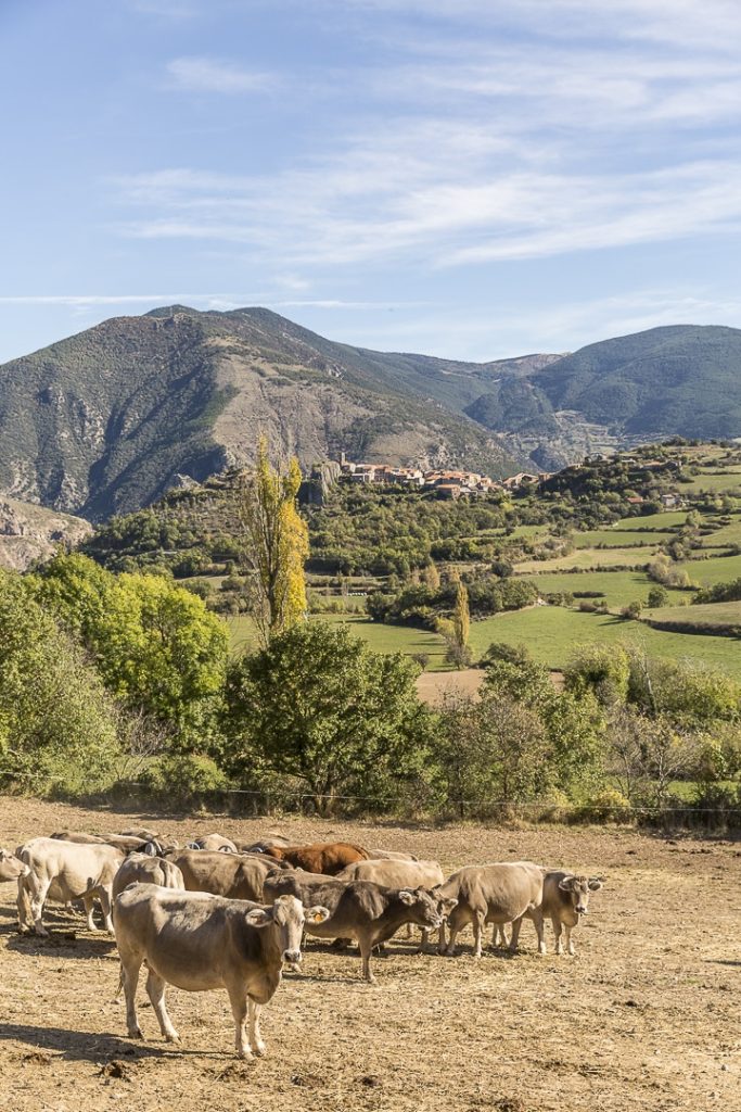 village de Paramea, Catalogne #roadtrip #catalogne