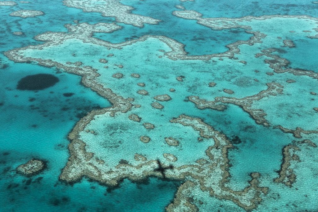 Survoler la grande barrière de corail en Australie, un moment unique bien que furtif #australie #grandebarrieredecorail