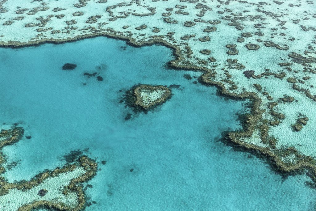 Survoler Hear Reef, ce récif en forme de coeur découvert dans les années 70 en Australie #queensland #australie #whitsundays