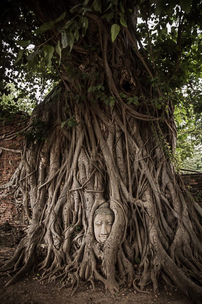 Wat Phra Mahathat - Ayutthaya