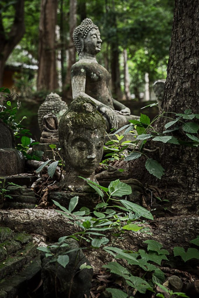 Wat Umong, Chiang Mai #Thailande