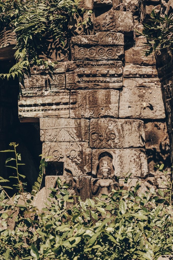 Détail du temple de Banteay Chhmar au Cambodge pris dans la végétation
