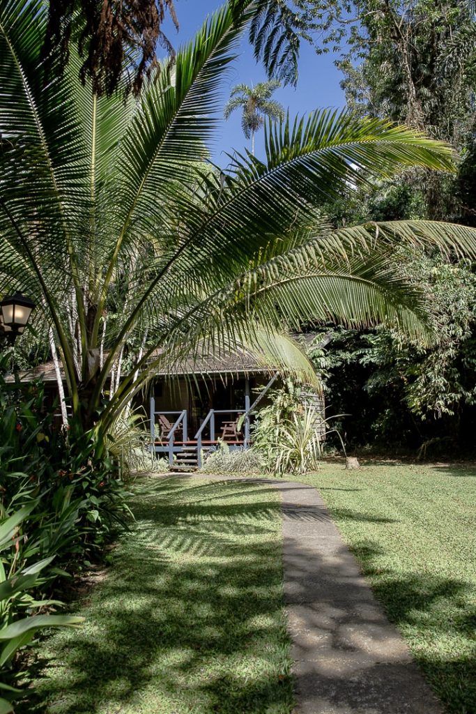 Allée du Daintree heritage lodge #queensland #australie