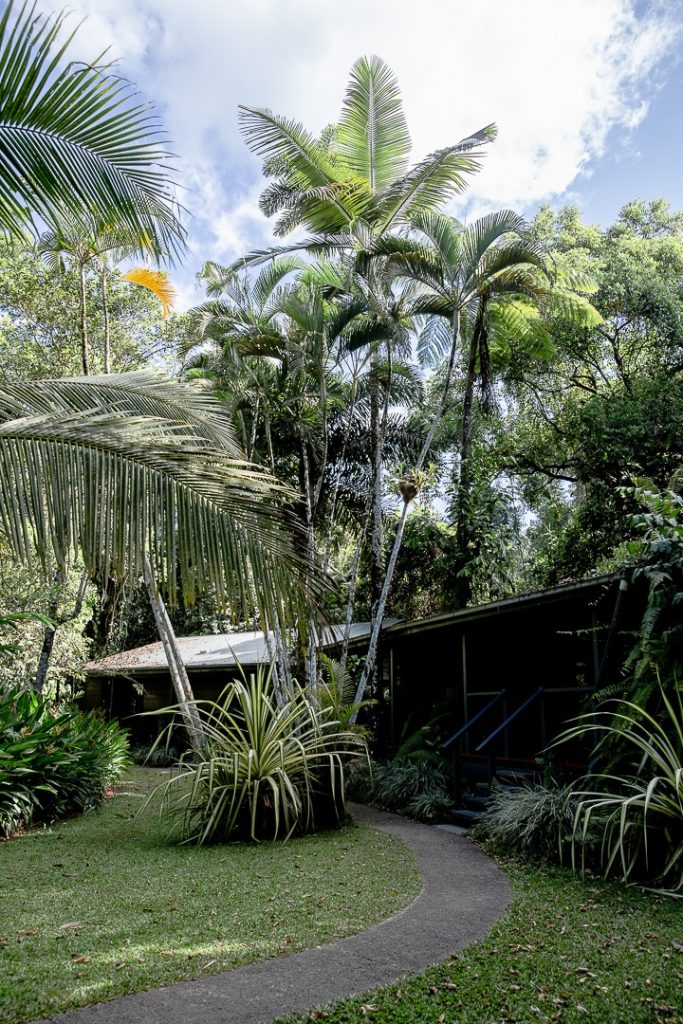 Le Daintree heritage lodge, au coeur de la forêt de Daintree #queensland #australie