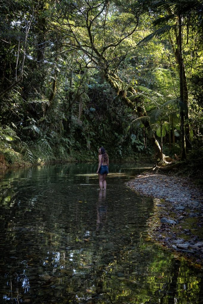 Crique du Daintree heritage lodge, Australie