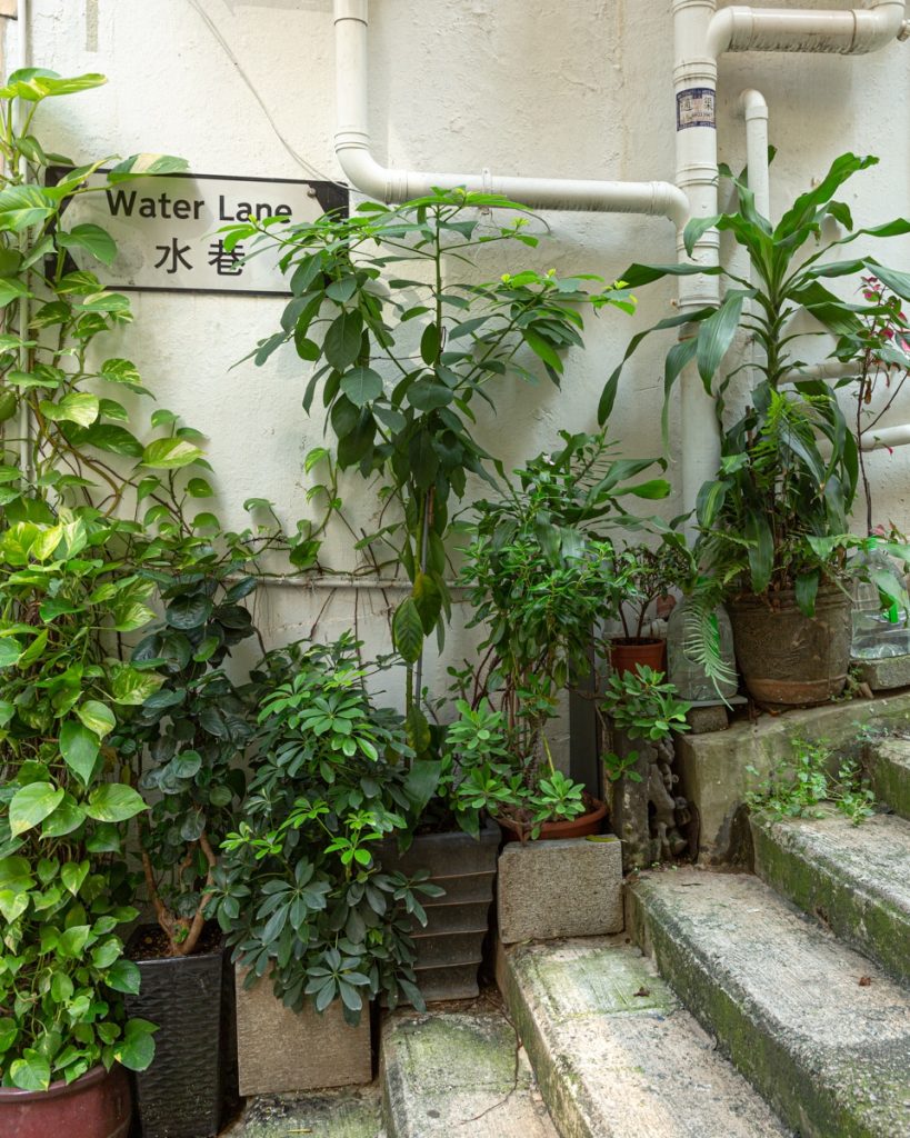 Central old town Hong Kong
