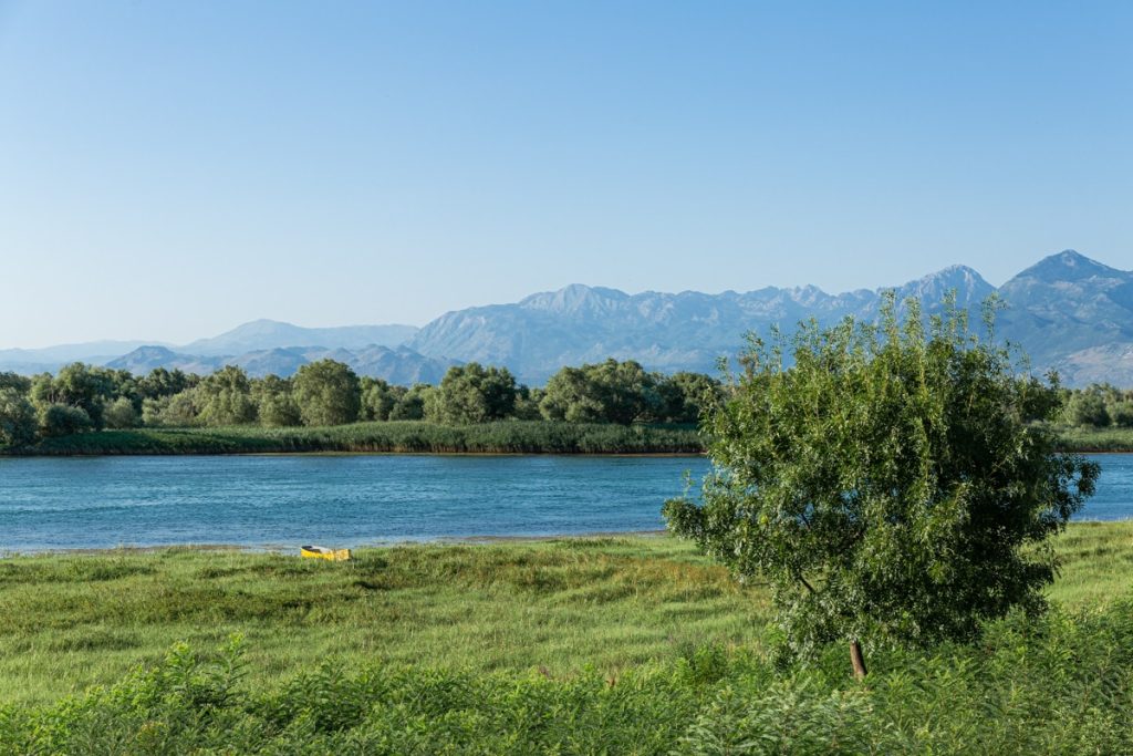 Sur les rives du lac Shkoder en albanie