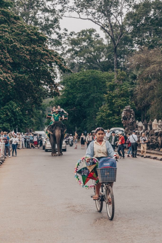 Le cambodge interdit les balades à dos d'éléphant en 2020