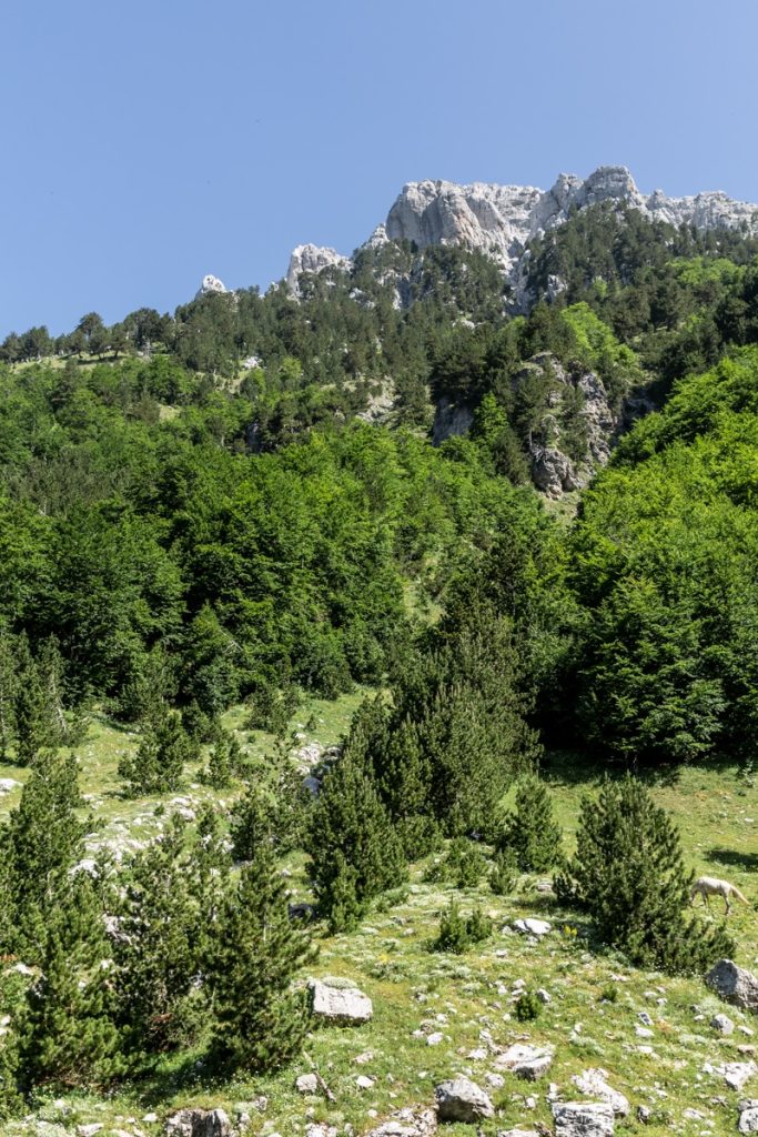 Paysage dolomitique des Alpes albanaises