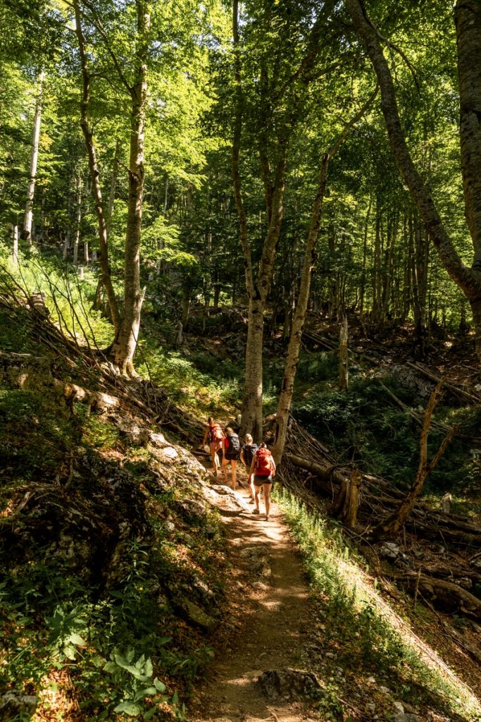 Randonnée en Albanie dans les forêts du parc national de Theth