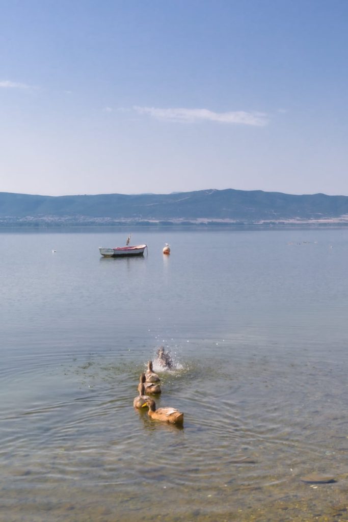 La douceur du la Volvi près de Thessalonique en Grèce