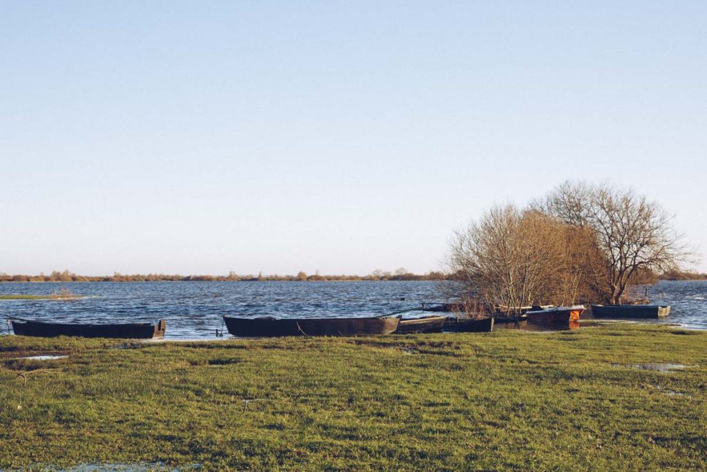 Barque du port de Saint lumine de Coutais sur le lac de Grand Lieu