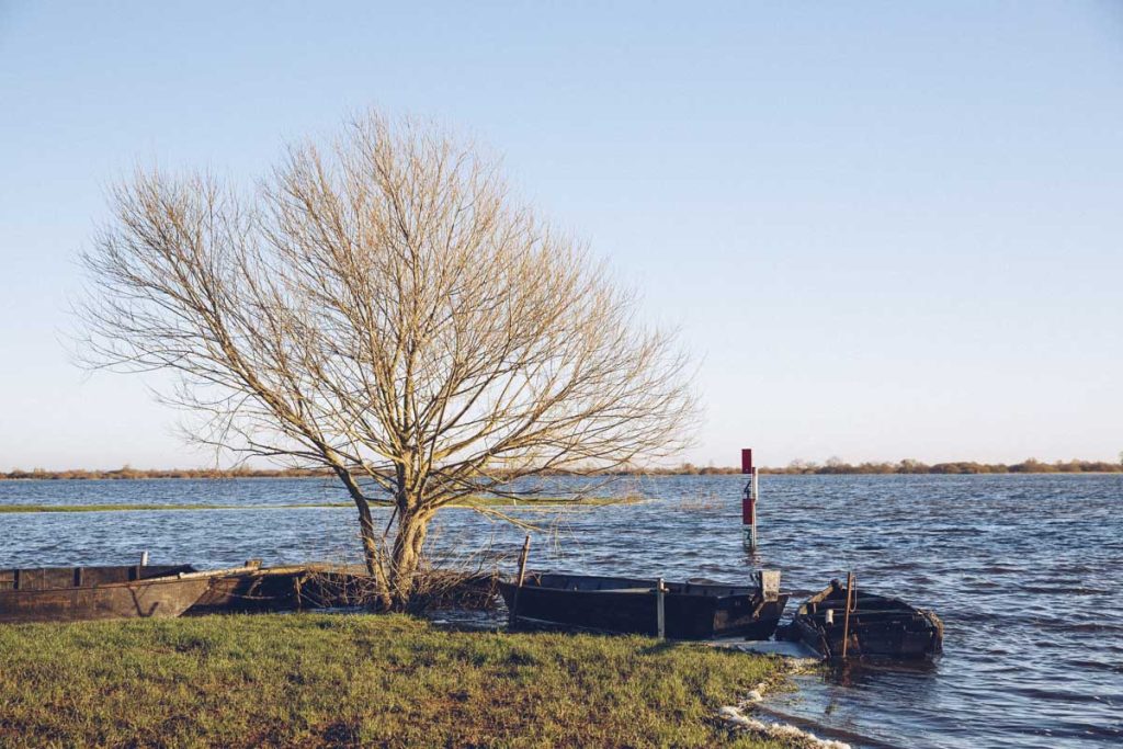 Marais inondés sur le lac de Grand Lieu - Saint Lumine de Coutais