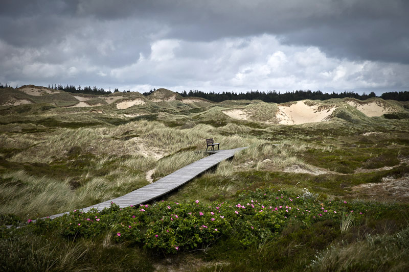 La mer de Wadden en Allemagne