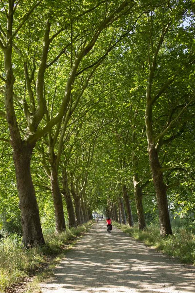 Route-van-gogh-entre-bois-le-duc-et-nuenen
