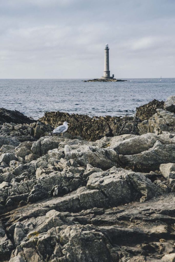 goury-cotentin