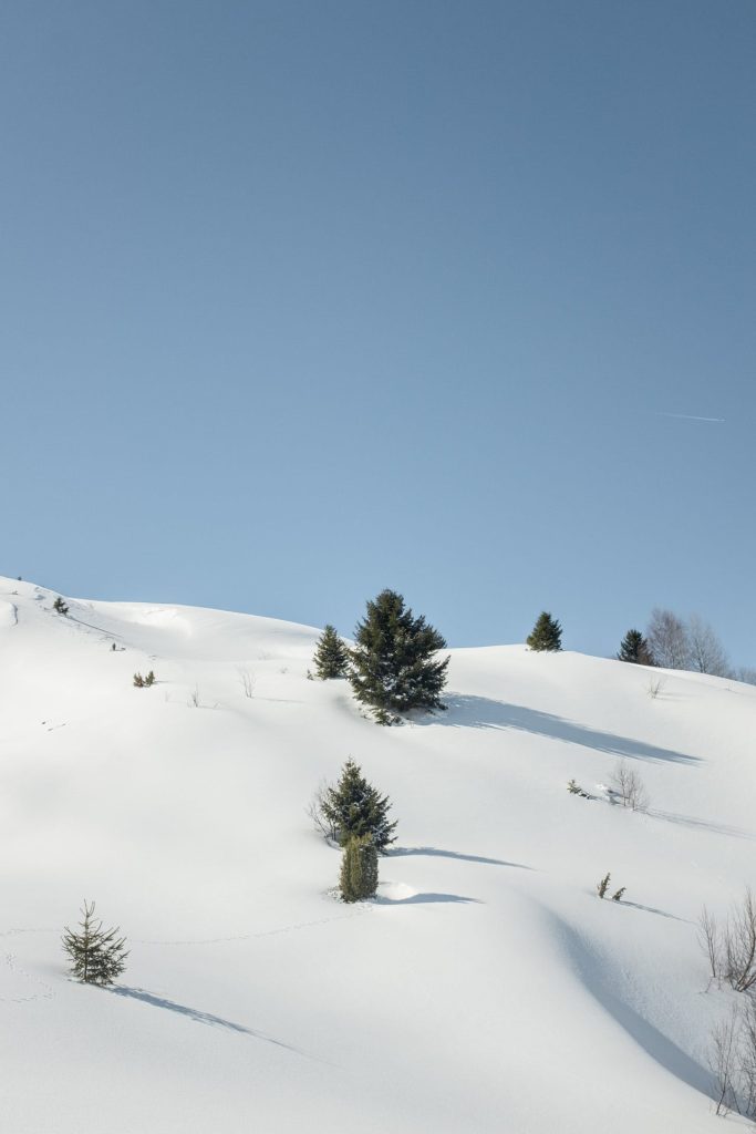 winter wonderland