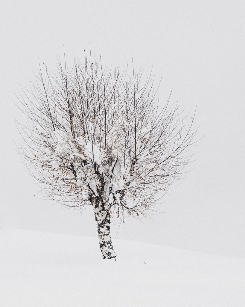 lendemain-de-neige-en-montagne