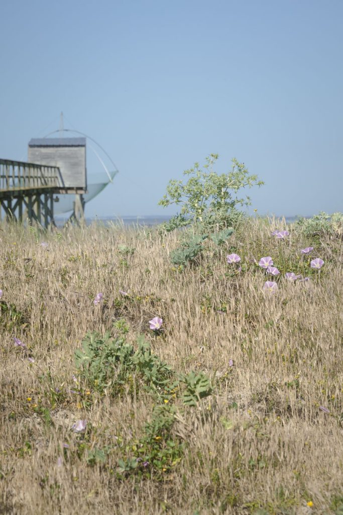 dunes-moutiers-en-retz