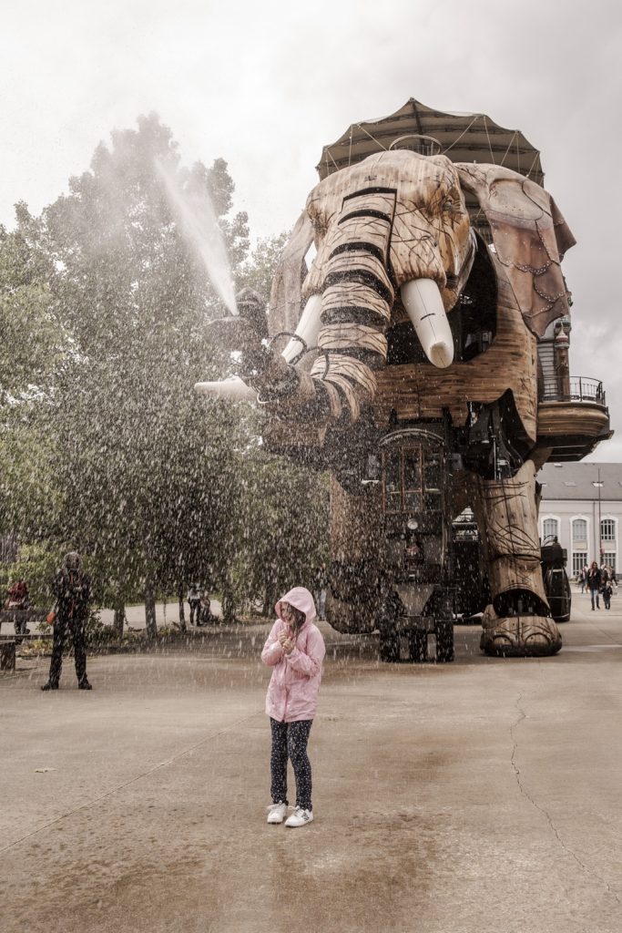elephant-machines-de-l-ile
