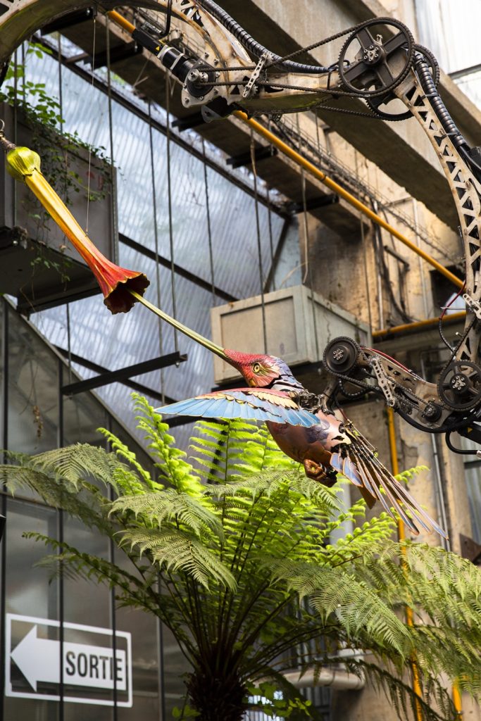 machines-de-l-ile-le-colibri