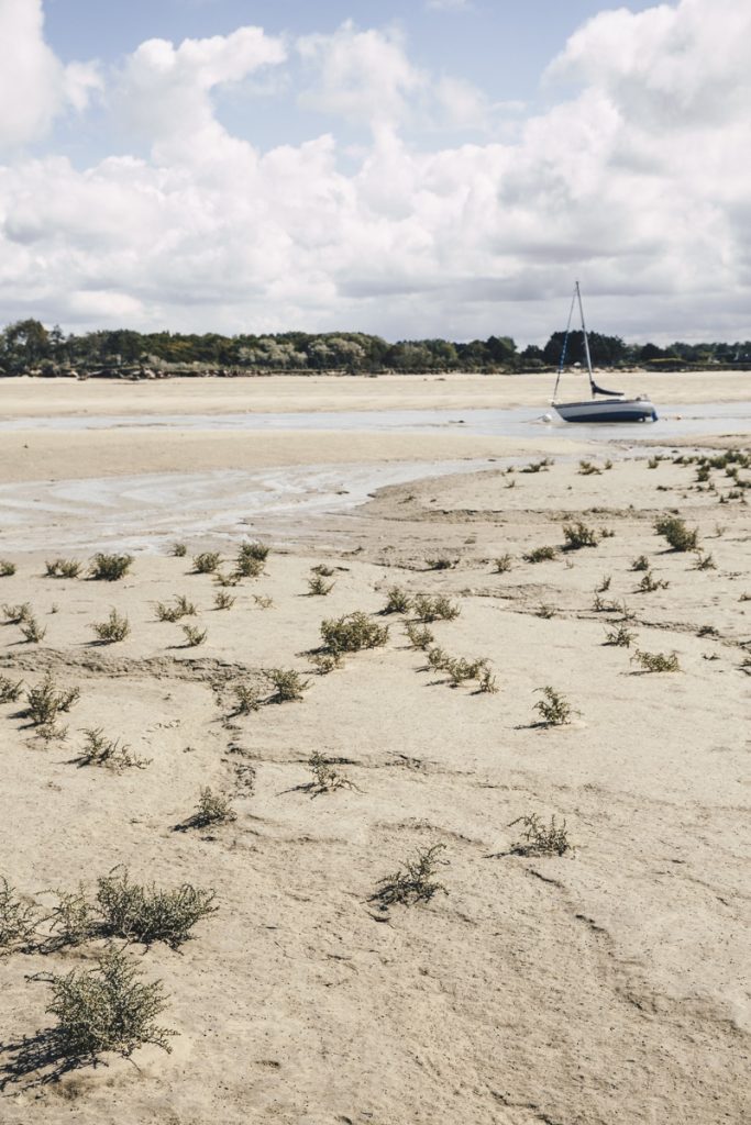 havre-de-la-vanlee-cote-estuaire