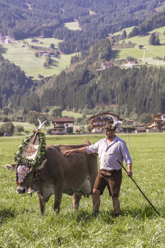 transhumance-tyrol-2