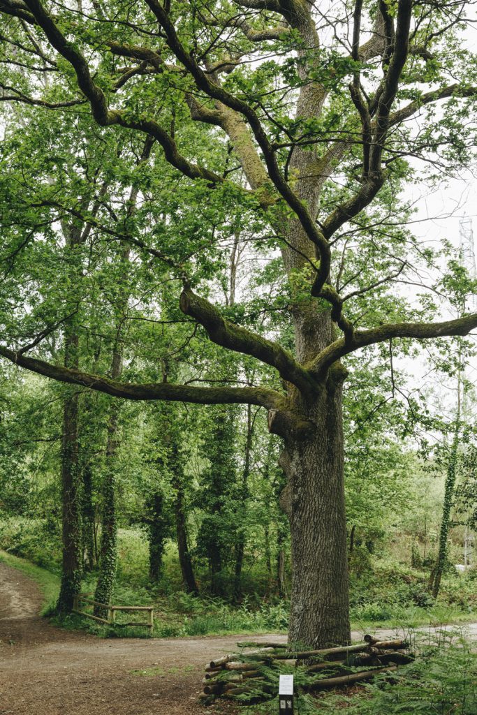arche-de-la-nature