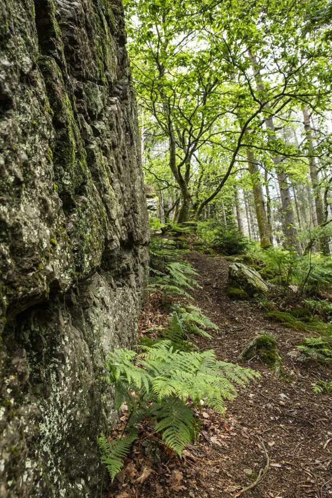 sentier-alpes-mancelles