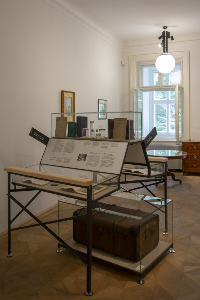 musee-freud