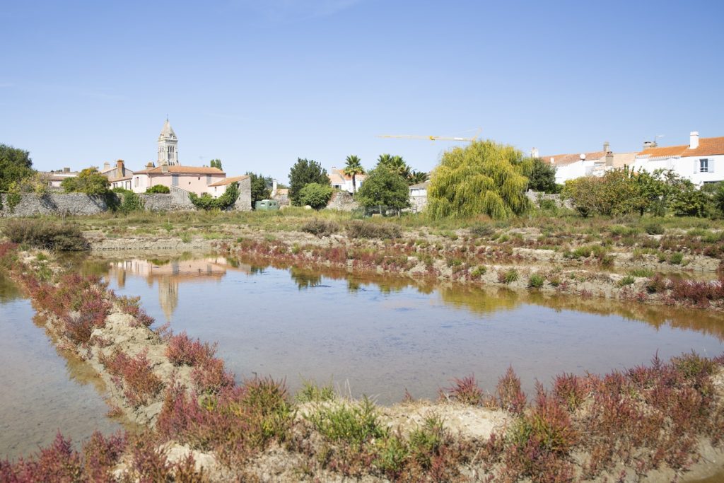 marais-noirmoutier
