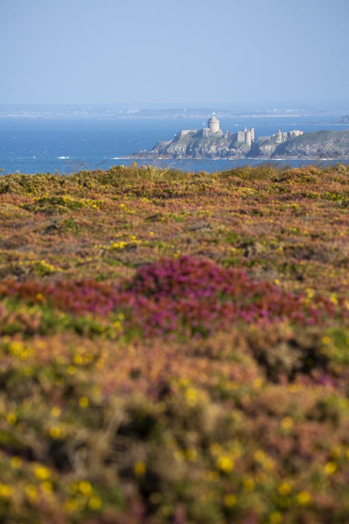 Automne-cap-frehel