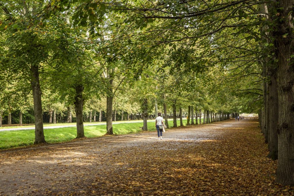 allees-jardins-versailles