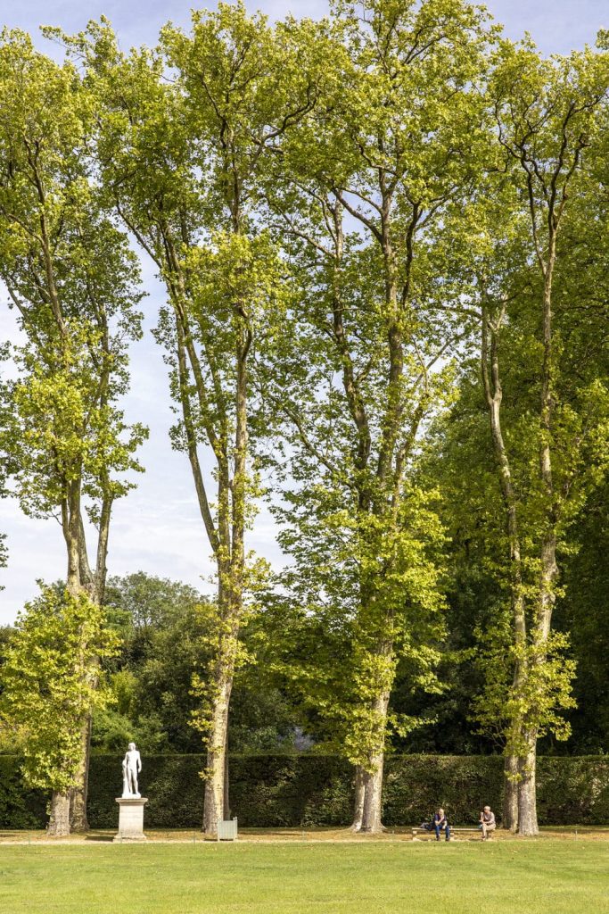 balade-jardins-versailles_