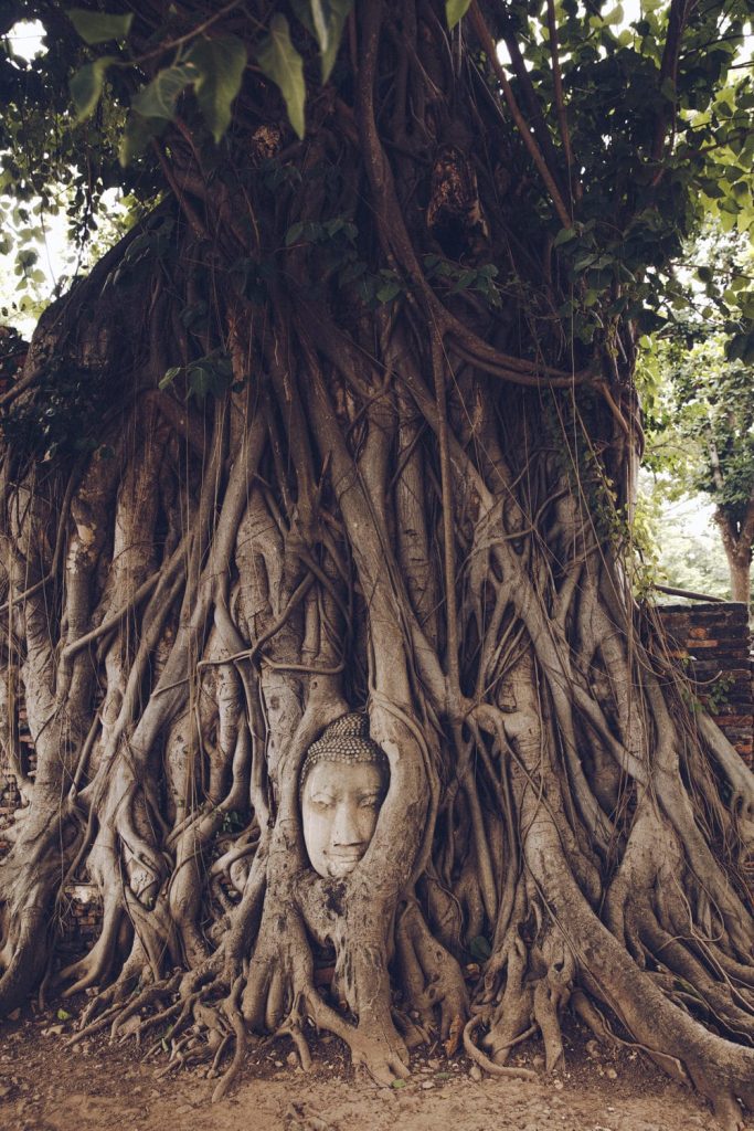 Temple-ayuttayah