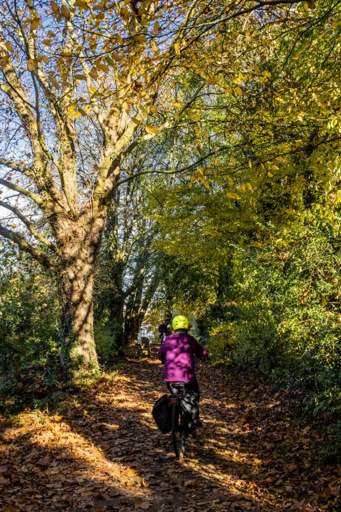 Berges-Erdre-automne