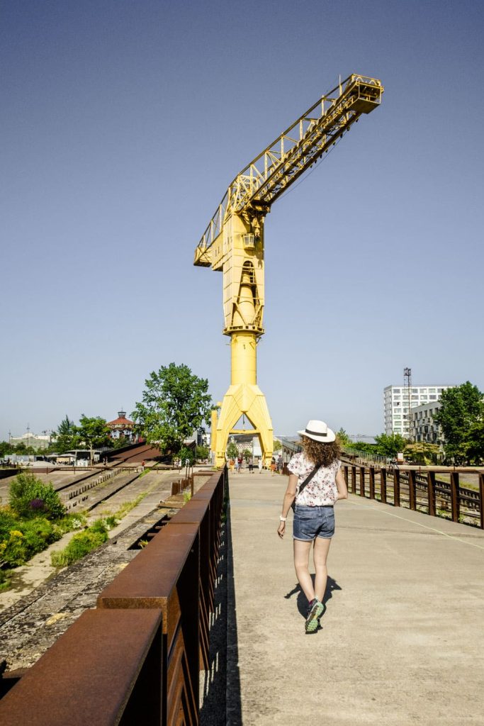 Grue-jaune-ile-de-nantes