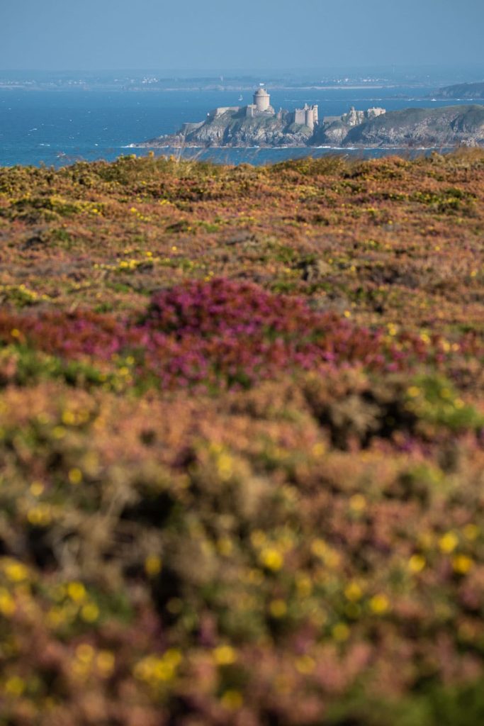 lande-cap-frehel
