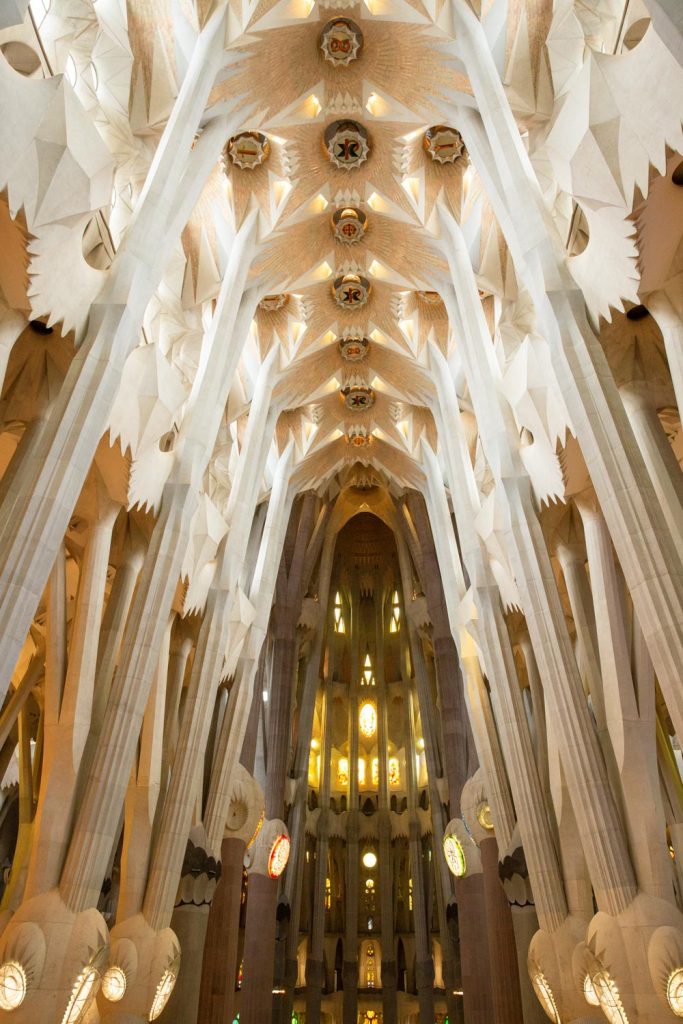 la-foret-sagrada-familia