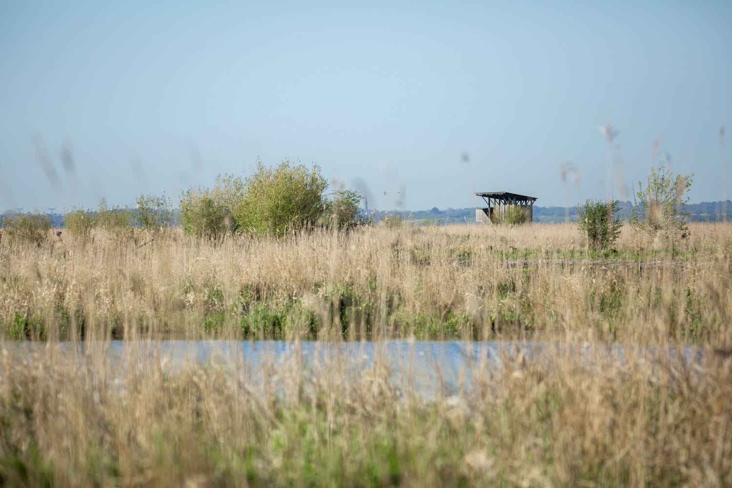 Observatoire ornithologique dans les marais de Brière