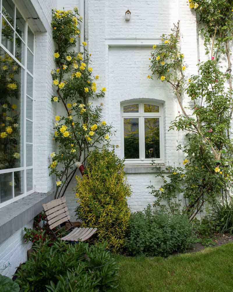 Jardin villa Balat