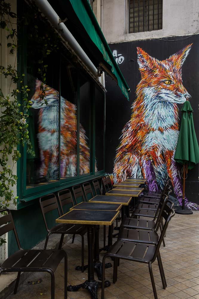 Renard street art Bordeaux