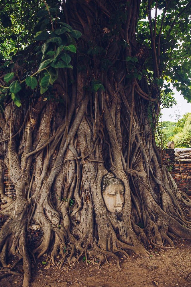 wat mahathat ayutthaya