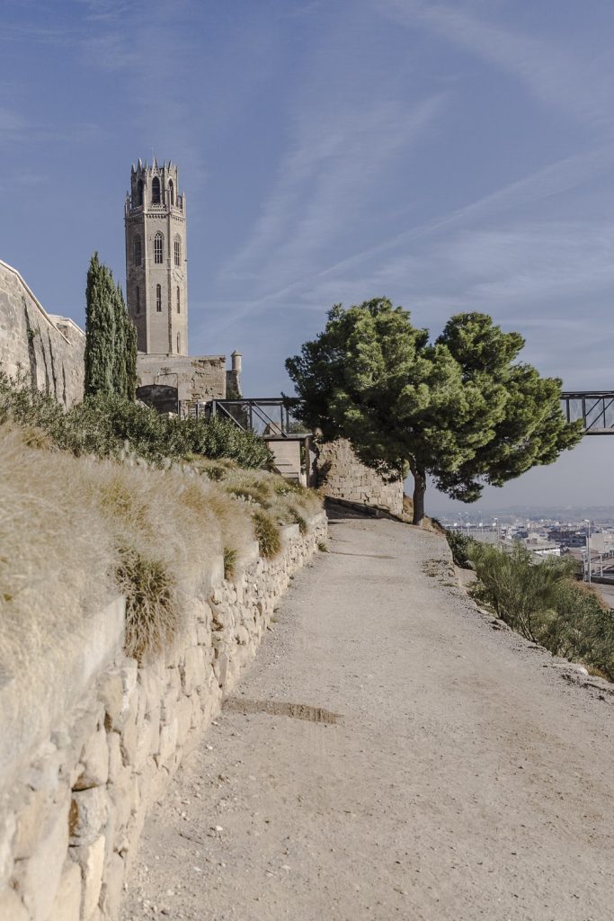 Seu vella lleida