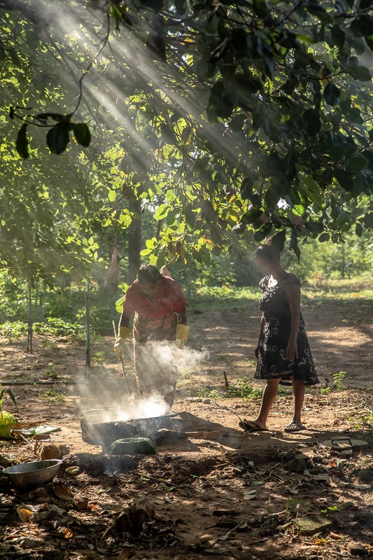 ferme bio Sri Lanka