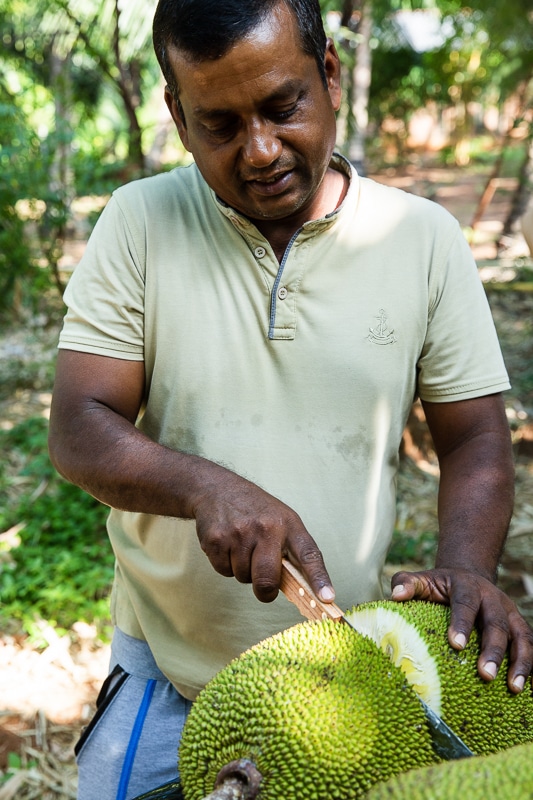 Producteur de fruits bio