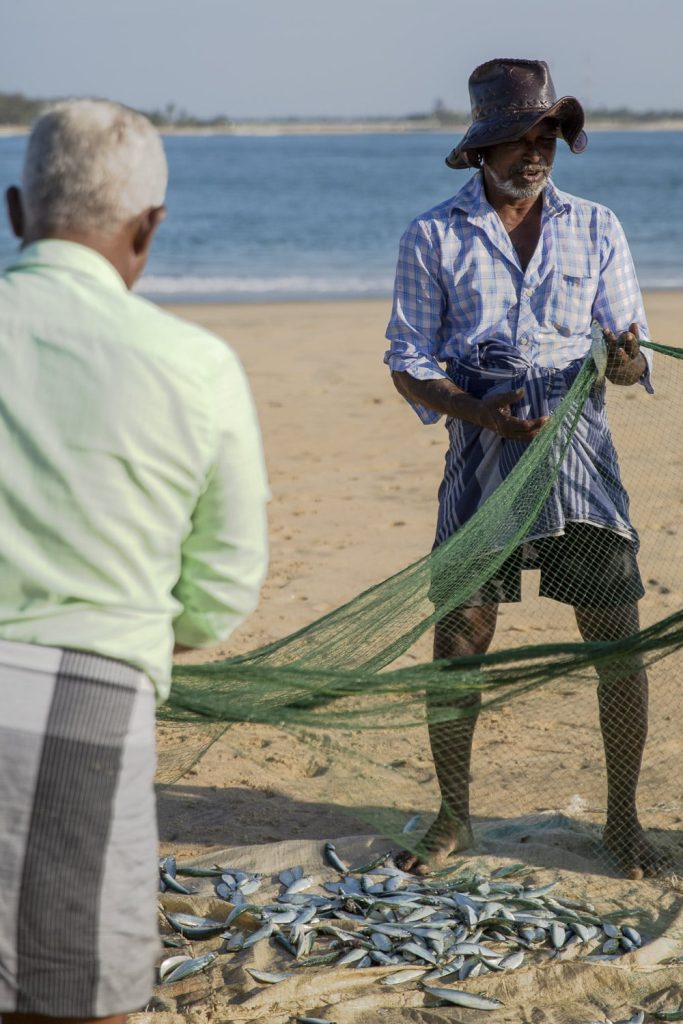 Retour de peche arugam bay