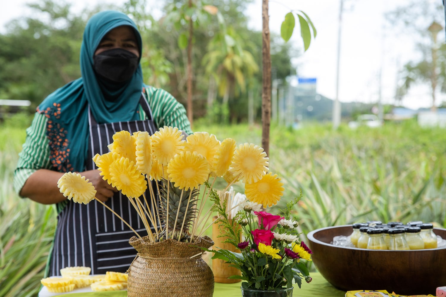 Plantation d'ananas Phuket