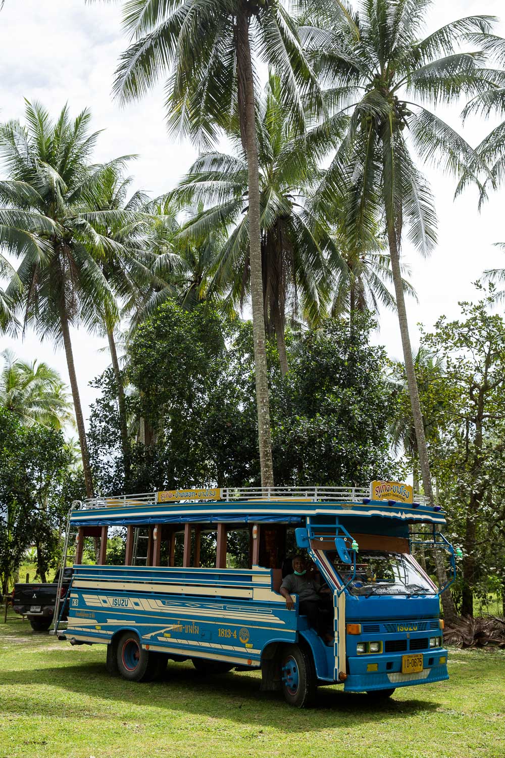 plantation coco
